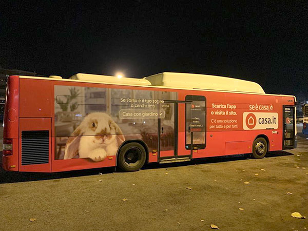 bus
