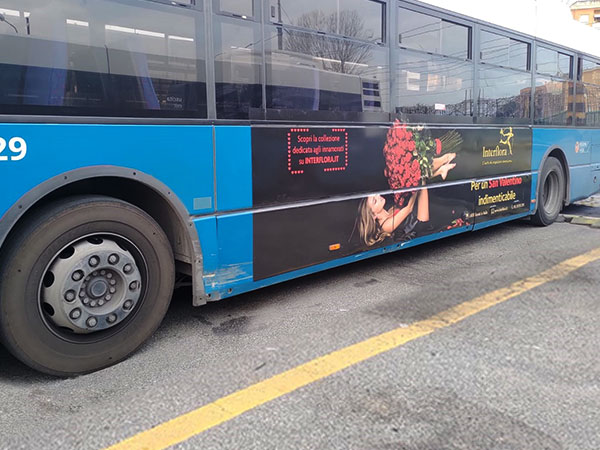 bus