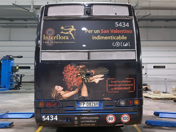 bus