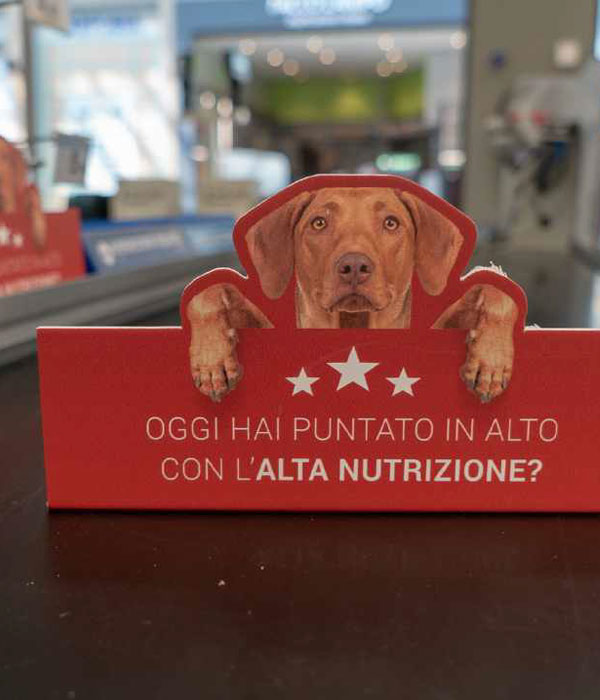 offline